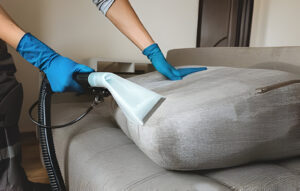 sofa cleaning